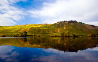 Mosel River, Germany, Vineyards - Europe's Wine Regions by River Cruise
