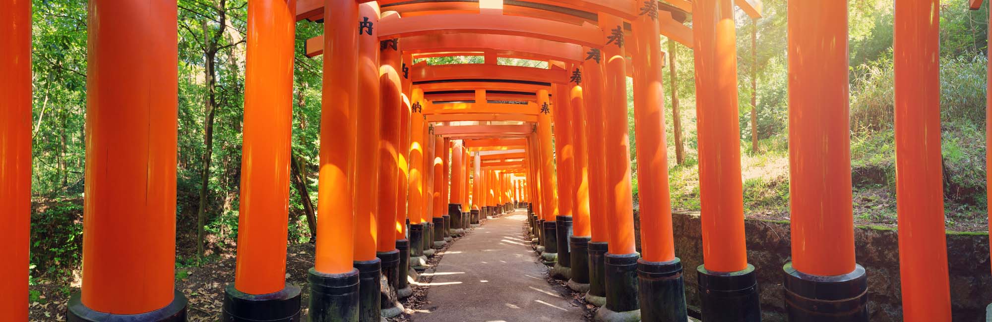 A stunning pathway lined with vibrant orange-red torii gates at the historic Fushimi Inari Shrine in Kyoto, Japan. The gates create a mesmerizing tunnel-like corridor through a forested landscape.